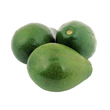 Aguacate criollo Und