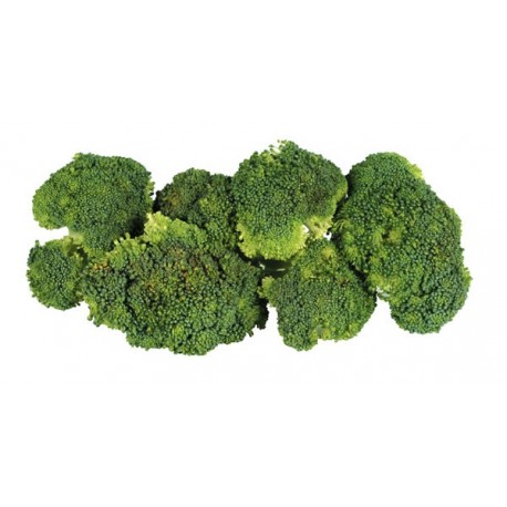 Brocoli Lb