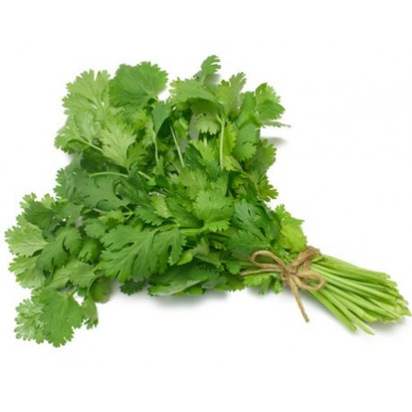 Cilantro Paquete