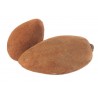 Zapote Und