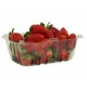 Fresas frescas paquete 1LB