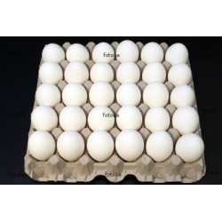 Huevos colmado.com.do 30/1