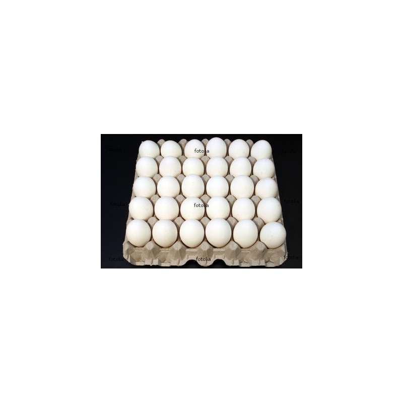 Huevos colmado.com.do 30/1