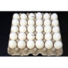Huevos colmado.com.do 30/1