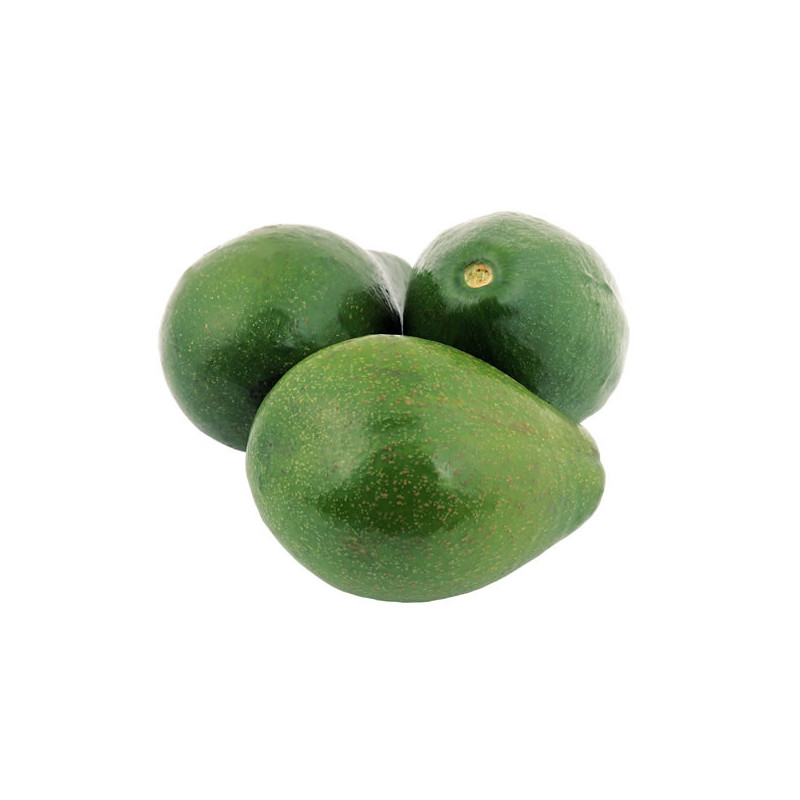 Aguacate criollo Und