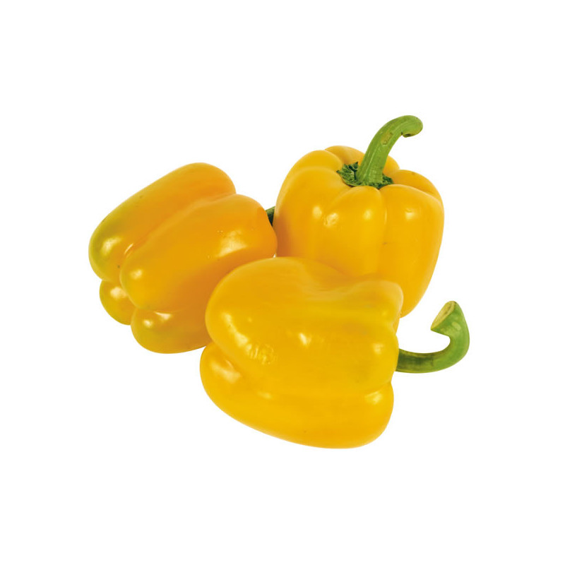 Ají morrón amarillo Lb