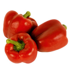 Ají morrón rojo Lb