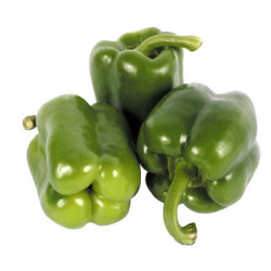 Ají morrón verde Lb