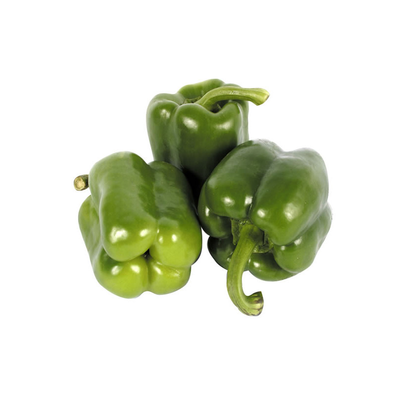 Ají morrón verde Lb