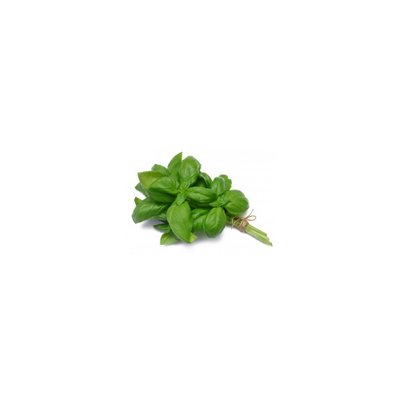 Albahaca verde Paq