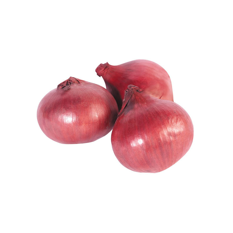 Cebolla roja criolla 2 Lb