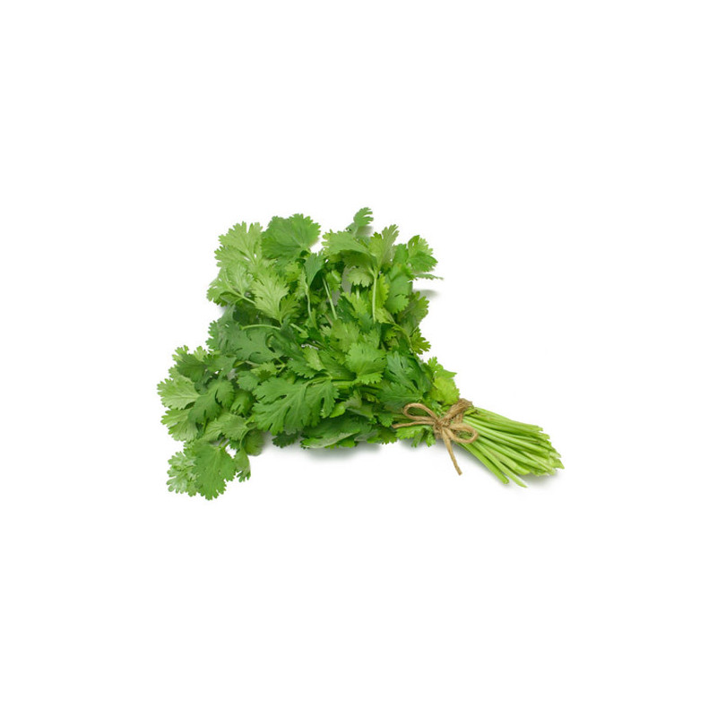 Cilantro Paq