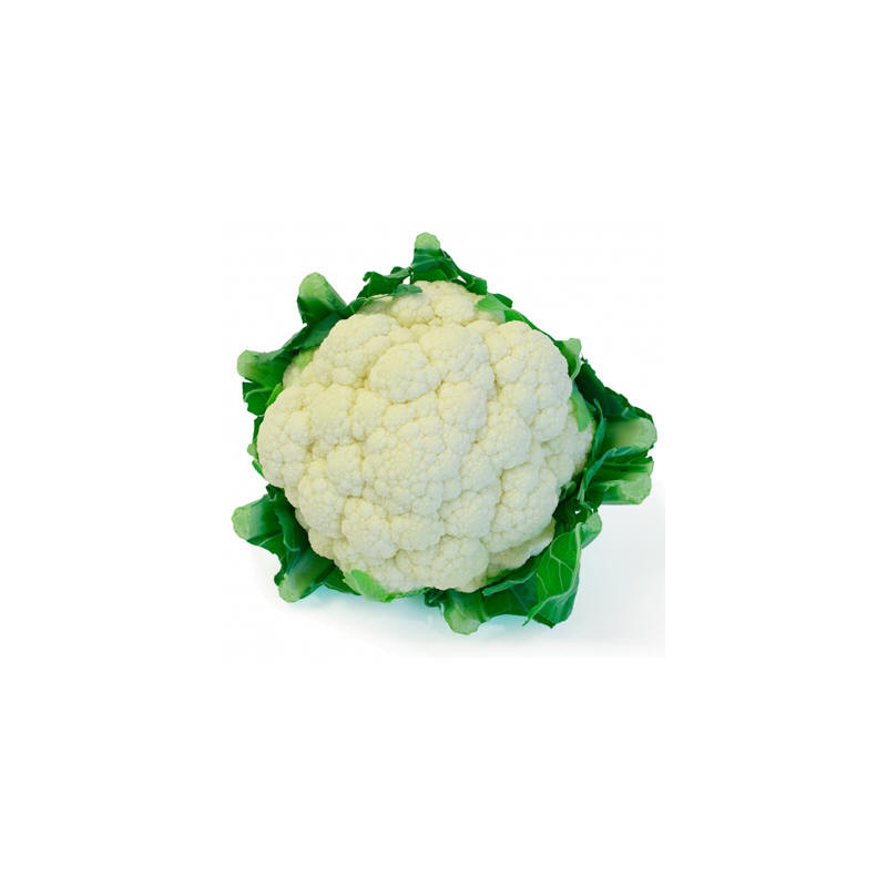 Colifror Lb