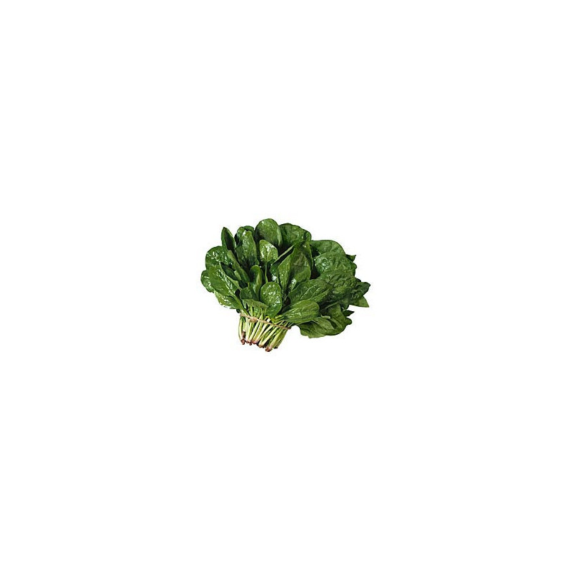 Espinaca Paq