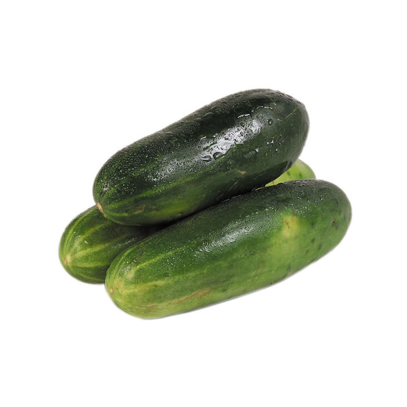 Pepino Lb