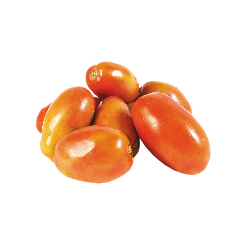 Tomate bogaloo Lb