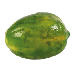 Lechoza Hawaiana Unidad