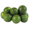 Limón Persa malla 2 Lb