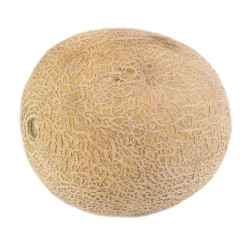 Melón Und