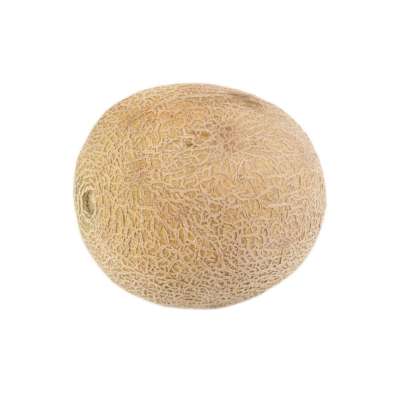 Melón Und