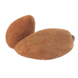Zapote 2 lb